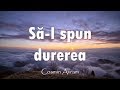 Să-i spun durerea - Cosmin Avram (Official Audio) 2015