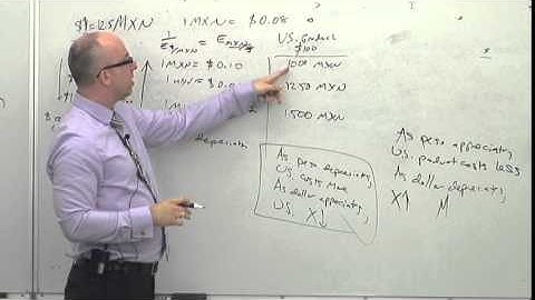 NEIU ECON Lecture Series 14 (Part 5): Currencies and Trade 2