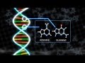 NASA: DNA Building Blocks Can Be Made in Space