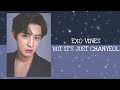 EXO vines but it’s just Chanyeol