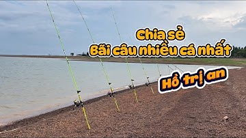 Khám Phá Thiên Đường Câu Cá Hồ Trị An – Địa Điểm Dân Câu Ưa Thích