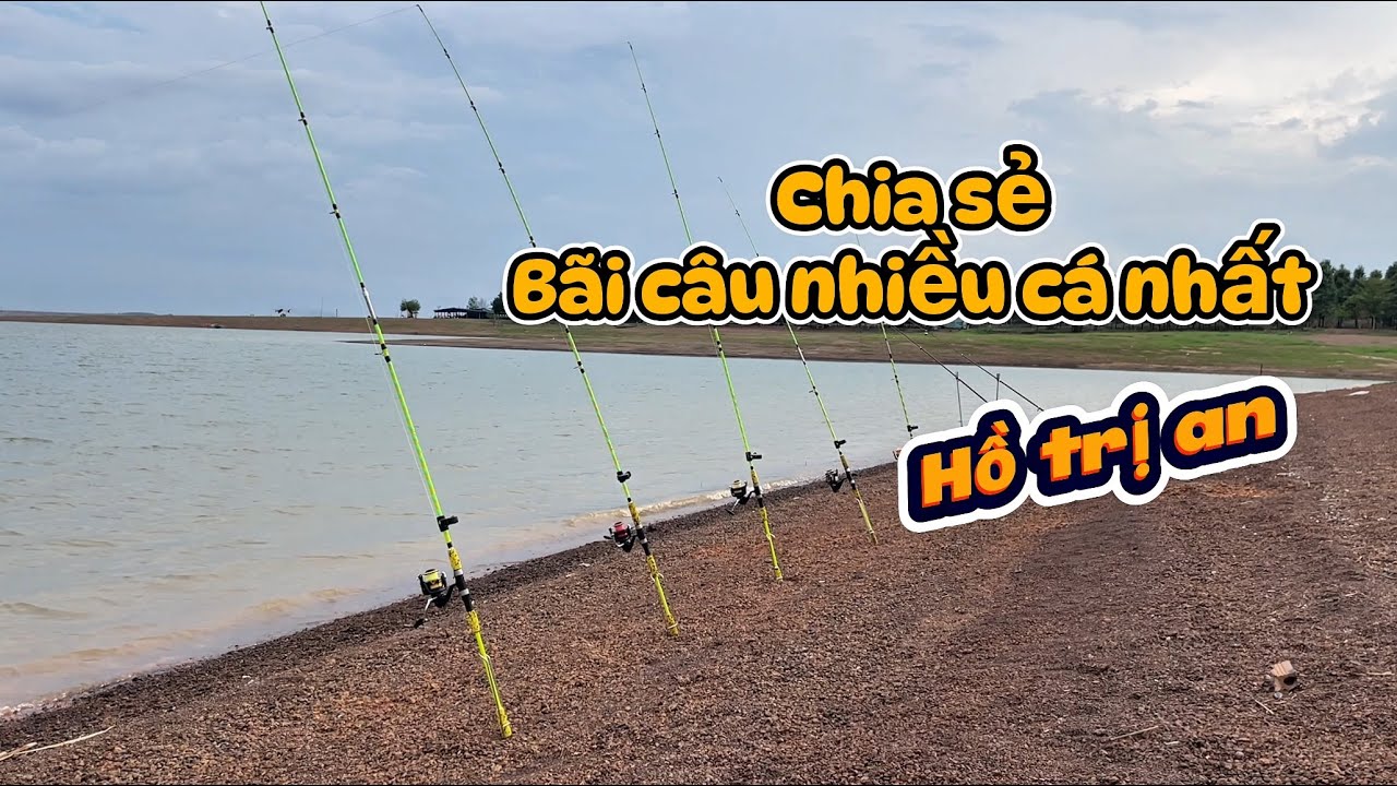Khám Phá Thiên Đường Câu Cá Hồ Trị An – Địa Điểm Dân Câu Ưa Thích