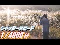1/4000秒の超高速シャッタースピードで狙う逆光写真がすごい！！