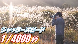 1/4000秒の超高速シャッタースピードで狙う逆光写真がすごい！！