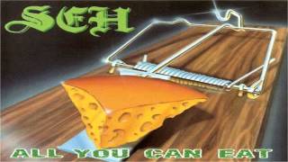 Sfh - 06 Dont Feed The Bears