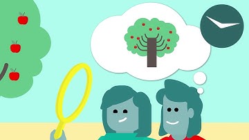 The benefits of outcome harvesting