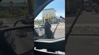 Driver Films Biker Wearing Skull Face Costume