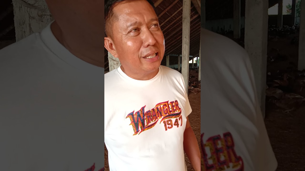 Karagdagang kaalaman sa pag aalaga ng itik sa Oriental Mindoro