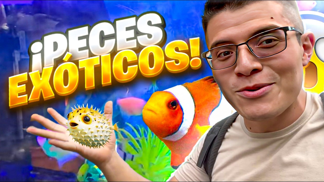 MERCADO DE PECES EXOTICOS la raza en CDMX ¿Que tan bueno es?