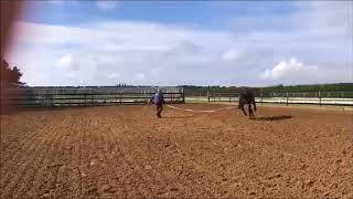 Assessing Soundness screenshot 2