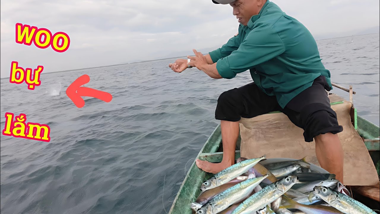 Câu Trúng đậm cá nục tròn..//gặp cá lớn