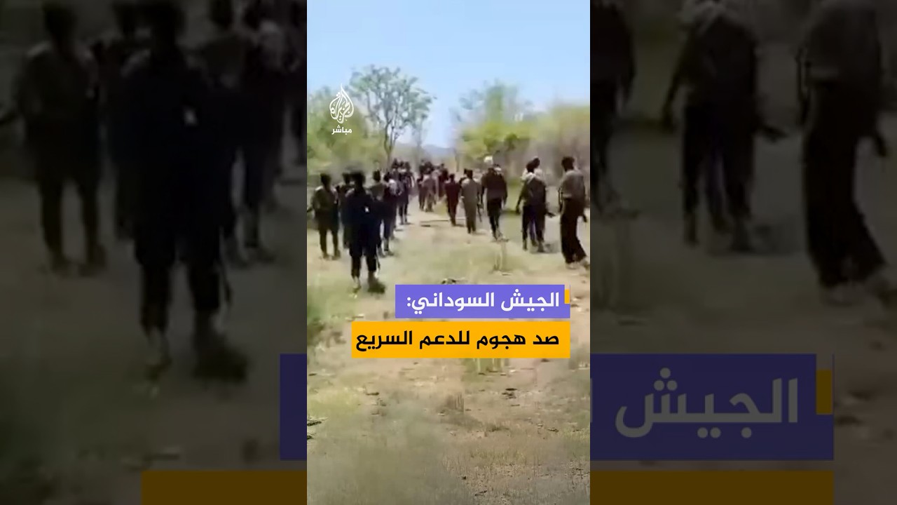 الجيش السوداني يقول إنه صد هجوما شنته قوات الدعم السريع وقوات تابعة للحركة الشعبية على منطقة أمورا