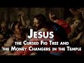 Why Did Jesus Curse the Fig Tree and Cleanse the Temple of the Money Changers