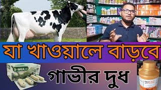 গাভির দুধ বৃদ্ধির করার ঔষধ। যে সব ঔষধে দুধ বৃদ্ধি হয়। মোল্লা কৃষি টিভি।