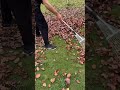 clean dry leaf litter with special tools #youtubeshorts #automobile
