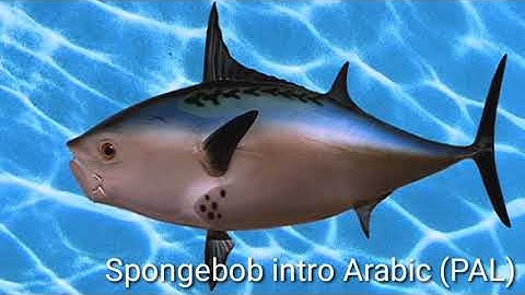 Spongebob SquarePants - intro Arabic (PAL)