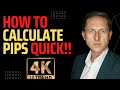 Forex how to calculate pips value. EASY and QUICK.