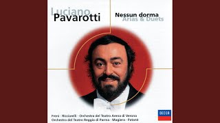 Puccini: Turandot / Act 3: Nessun dorma! (Live)