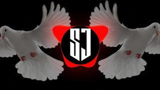 Kabutar ja ja ja - (dhol mix) Unreleased - Dj Abhijeet in the mix || SJ MUSIC  || #TRENDING