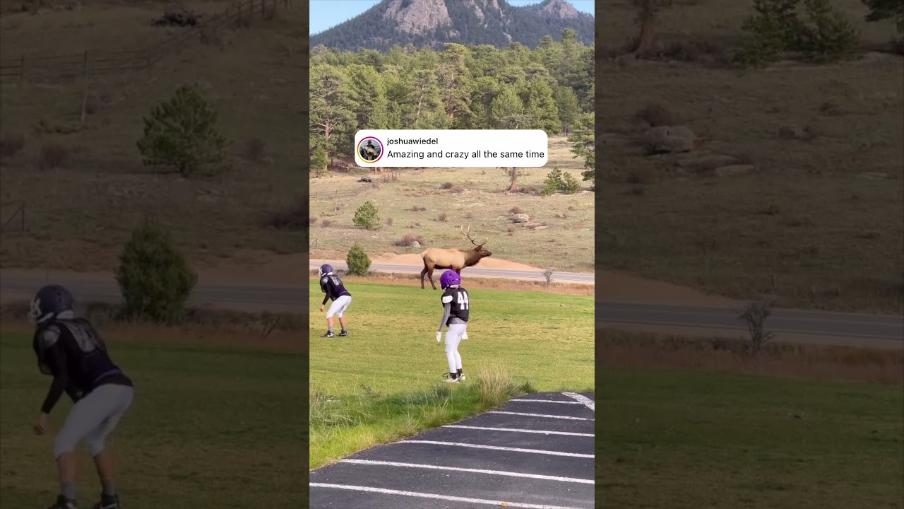 This can’t be real life 🤣👀 