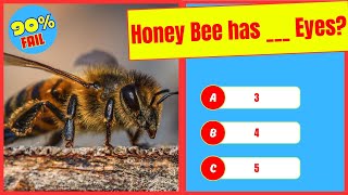 Test Your Brain! Ultimate General Knowledge Quiz