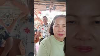 Harana sa Isdaan Resto, Bay, Laguna