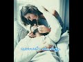 Nuvve nuvve song lyrics whatsapp status🎶💕 || Red movie song || Ram, Malvika sharma