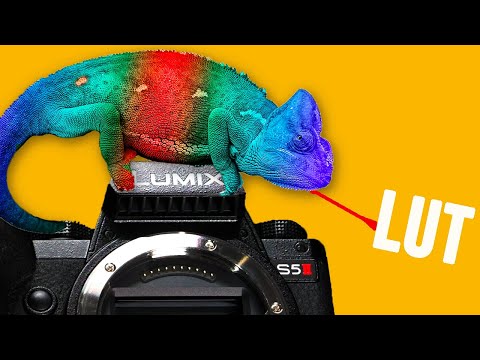 Panasonic Lumix S5II's Best Secret Feature - Real Time LUT