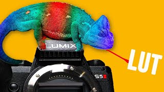 Panasonic Lumix S5II's Best Secret Feature - Real Time LUT