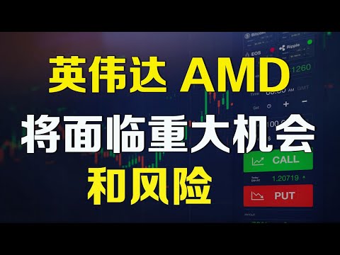 美股 英伟达AMD将面临的重大风险和机遇 NVDA