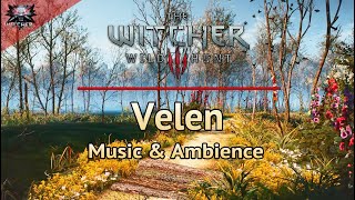 The Witcher 3 - Emotional and Relaxing Soundtrack | Velen | Music & Ambience for Study/Focus/Sleep