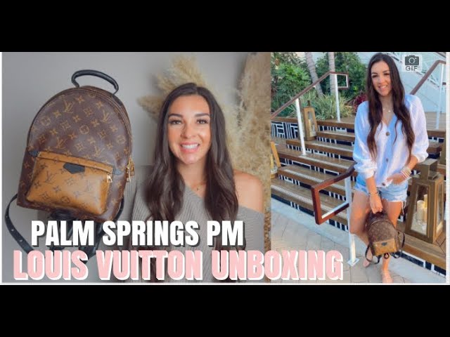 Louis Vuitton - Palm Springs Backpack PM - Pre loved