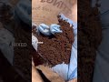 Fertilizing my calamansi tree growing in container. #gardeningshorts #gardening #gardeningtips