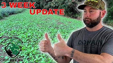 The Fall Food Plot Everyone Said Wouldn