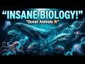Nothing About These Sea Animals Is Normal 😳 | Science Documantary