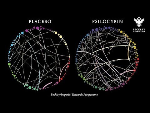 Psychedelics Create New Communication Pathways In The Brain ( Homological Scaffolds )