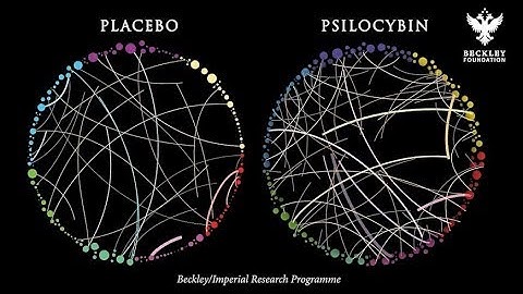 Psychedelics Create New Communication Pathways In The Brain ( Homological Scaffolds )