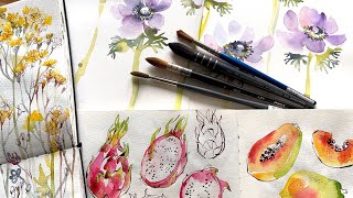 My Favourite Brushes for Painting | Watercolor Sketchbook