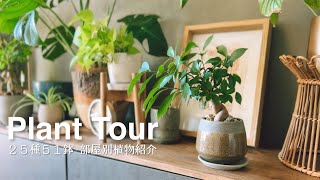 【Plant Tour】部屋別 観葉植物紹介｜25種51鉢｜ボタニカルリゾートの暮らし