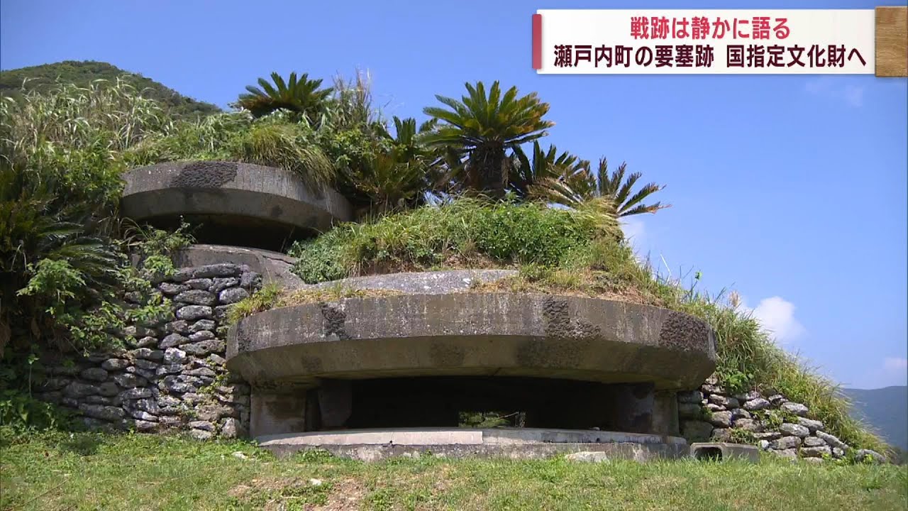 四国 戦争 遺跡