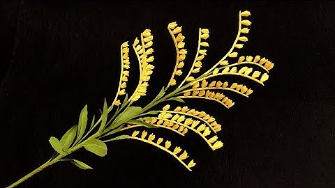 ABC TV | How To Make Filler Paper Flowers #11 - Craft Tutorial