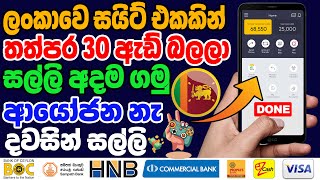 E Money Business Sinhala | Passive Income Online | Part Time Jobs In Sri Lanka