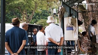 Kebun Baru Birdsinging Club