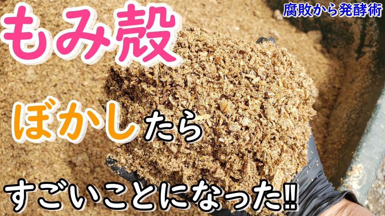 有用菌の世界！もみ殻をぼかしたらすごいことになった！（好気性発酵と活用法）