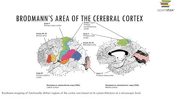 Chapter 13 Recorded Lecture