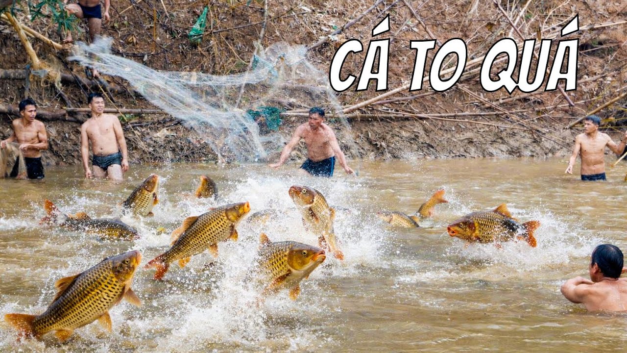 ĐÁNH BẮT CÁ TẠI SUỐI SẶP BẢN NÀ NGÀ 2025 - PICNIC RỪNG ĐẦU NGUỒN || CHIỀNG HẶC TV