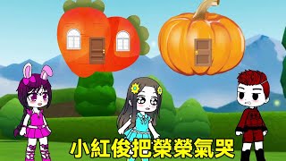 小紅俊和小舞建造房子榮榮送來窗戶,但是小紅俊卻把它扔了,所有人都不想住他的房子!#加查小劇場 #扭蛋人生游戏