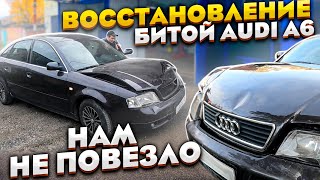 Как Перекупы восстанавливают Битую AUDI A6 C5  на Продажу!! Не совершайте наших ошибок!!