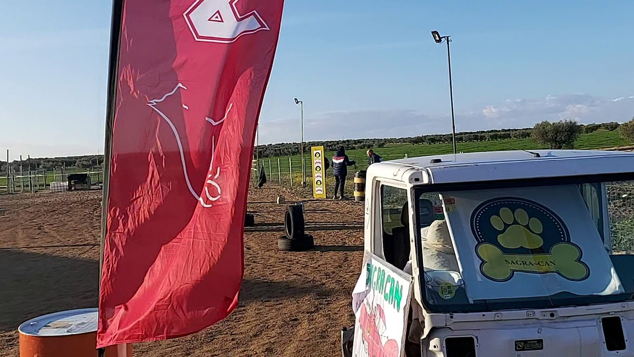 Grado 1 toretto toledo