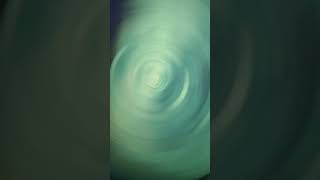 Spin Cycle 2